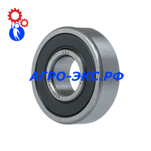6000-2RS (180100)