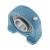 LEV 206-2F